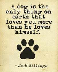 I-LOVE-MY-PET-DOG-QUOTES, relatable quotes, motivational funny i-love ...