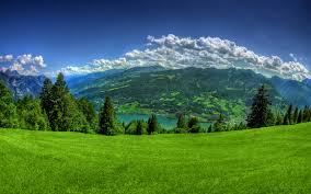 Image result for fields and trees