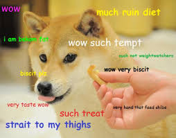 What is Dogecoin? The Meme that Became the Hot New Virtual Currency via Relatably.com
