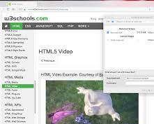 Easy Video Downloader Express chrome extension