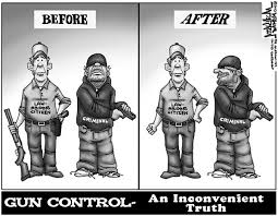 Image result for gun control