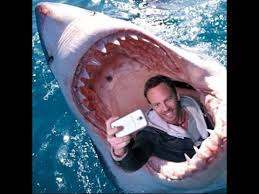 「dangerous selfie」的圖片搜尋結果
