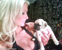 Paris Hilton gets over ex Doug Reinhardt with new Pug puppy - article-1268497-09491F3F000005DC-480_468x380