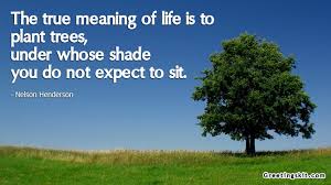 what is the meaning of life quotes #56562, Quotes | Colorful Pictures via Relatably.com