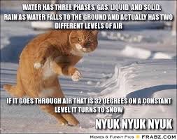 water has three phases, gas, liquid, and solid.... - Meme ... via Relatably.com