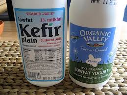 Image result for yogurt and kefir