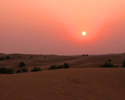 Thar Desert sunset
