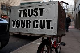 Image result for trust your gut not research
