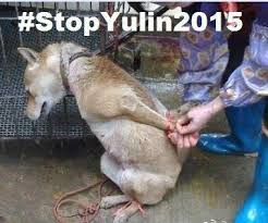 Afbeeldingsresultaat voor stop Yulin China president 2015