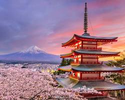 السياحة إلى اليابان في فبراير