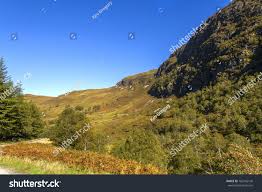 Image result for Coille Dhubh