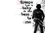Bruce quotes on Pinterest | Bruce Springsteen, Born To Run and Boss via Relatably.com