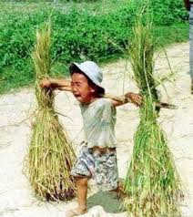 Image result for hình ảnh trẻ em nghèo đói