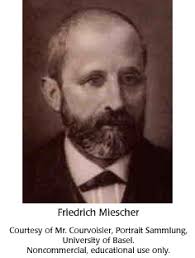 Friedrich Miescher. Friedrich (Fritz) Miescher was born in Basel, Switzerland. The Miescher family was well-respected and part of the intellectual elite in ... - 15bio