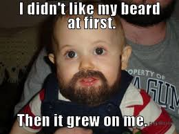 Bearded!!! on Pinterest | Beard Humor, Beards and Red Beard via Relatably.com