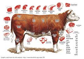 Image result for beef