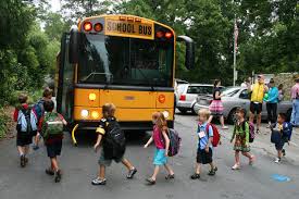 Image result for school bus
