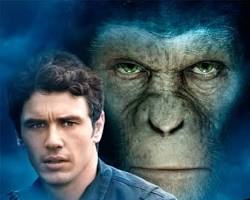 猿の惑星:創世記(ジェネシス) (2011年) movie posterの画像