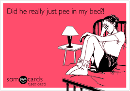 Image result for pee the bed