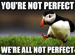 You&#39;re Not Perfect - Unpopular Opinion Puffin meme on Memegen via Relatably.com
