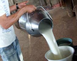 Agronegócios: Preço do leite fecha 2014 em baixa
